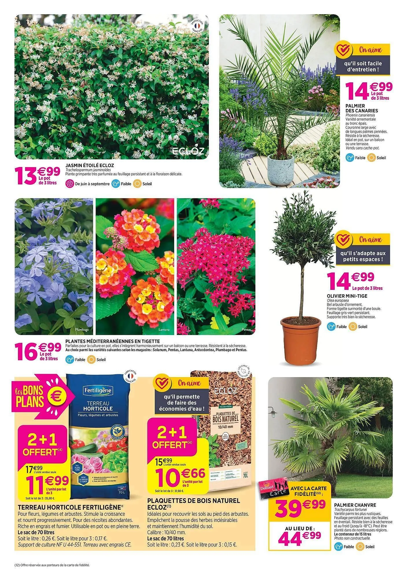 Catalogue Delbard du 6 mai au 17 mai 2026 - Catalogue page 2