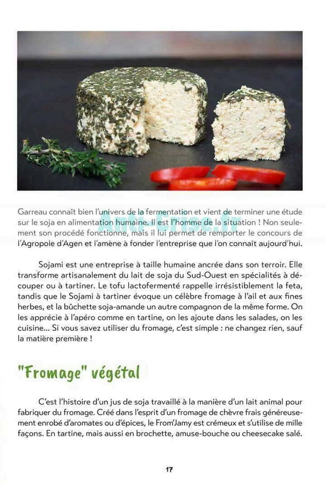 Catalogue Satoriz du 7 mai au 30 juin 2026 - Catalogue page 17