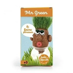 Tête à pousser graines de gazon mr green