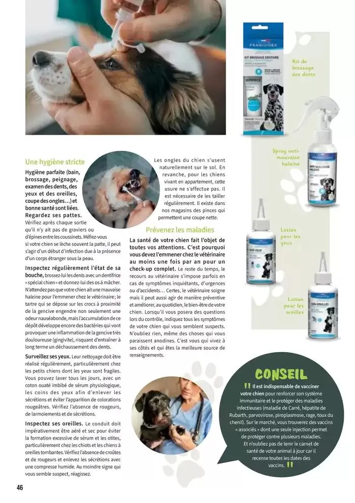 Le guide CHIENS & CHATS du 30 avril au 31 décembre 2025 - Catalogue page 46