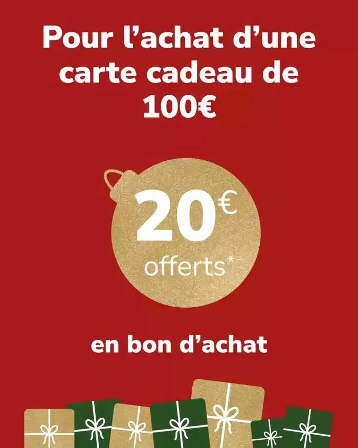 OFFRE SPÉCIALE sur nos cartes cadeaux du 20 décembre au 25 décembre 2024 - Catalogue page 4