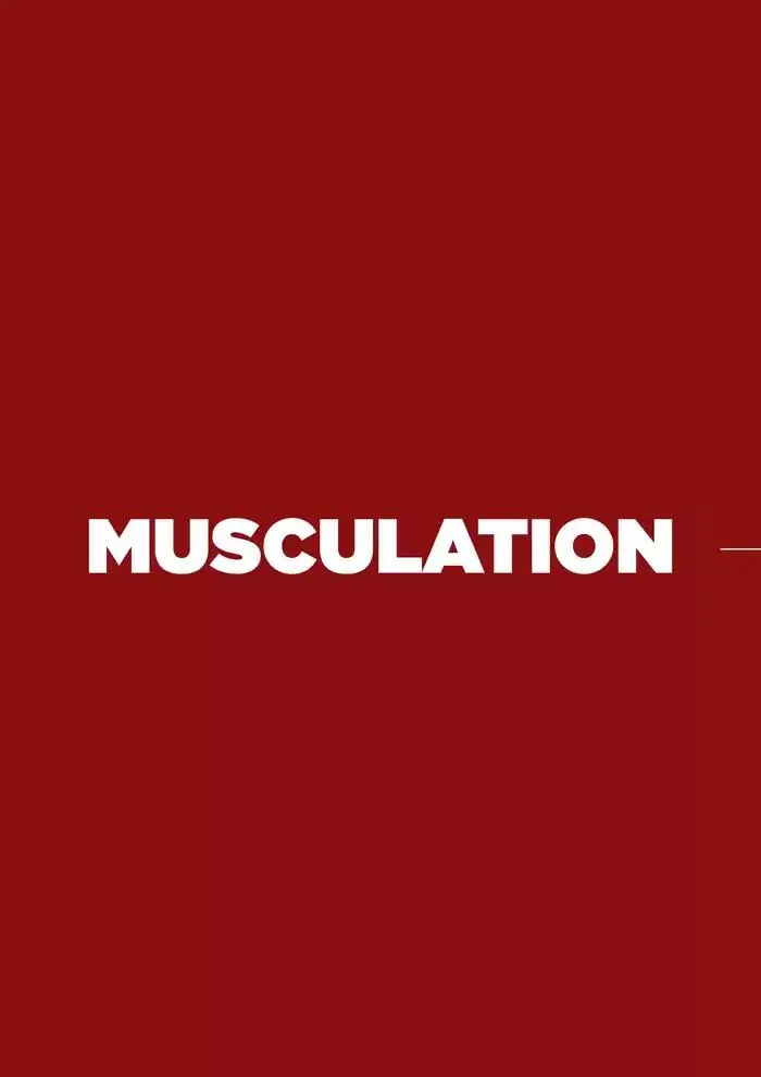 GAMME PROFESSIONNELLE 2025-2026 du 27 mars au 28 février 2026 - Catalogue page 20