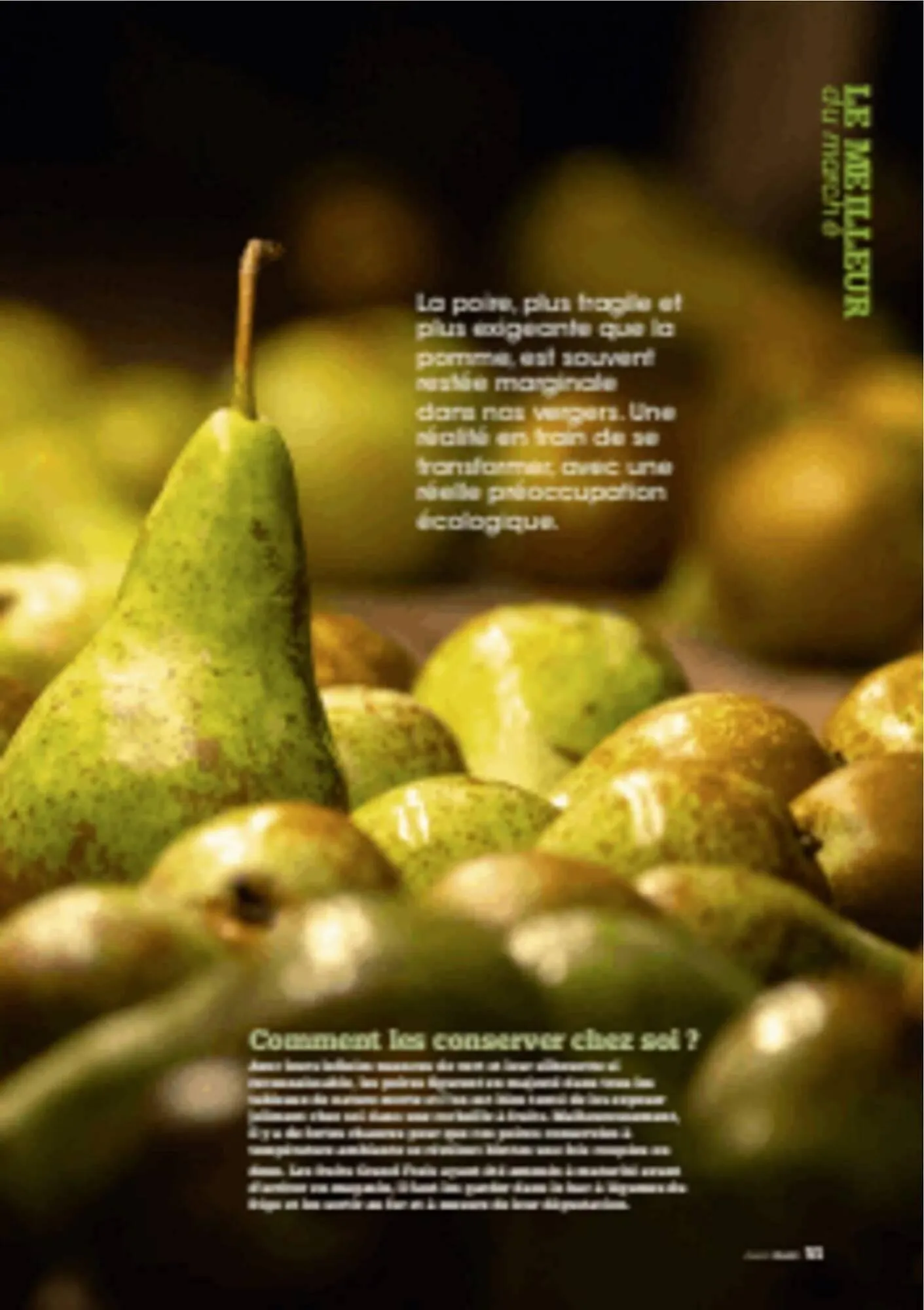 Catalogue Grand Frais du 12 décembre au 20 mars 2026 - Catalogue page 51