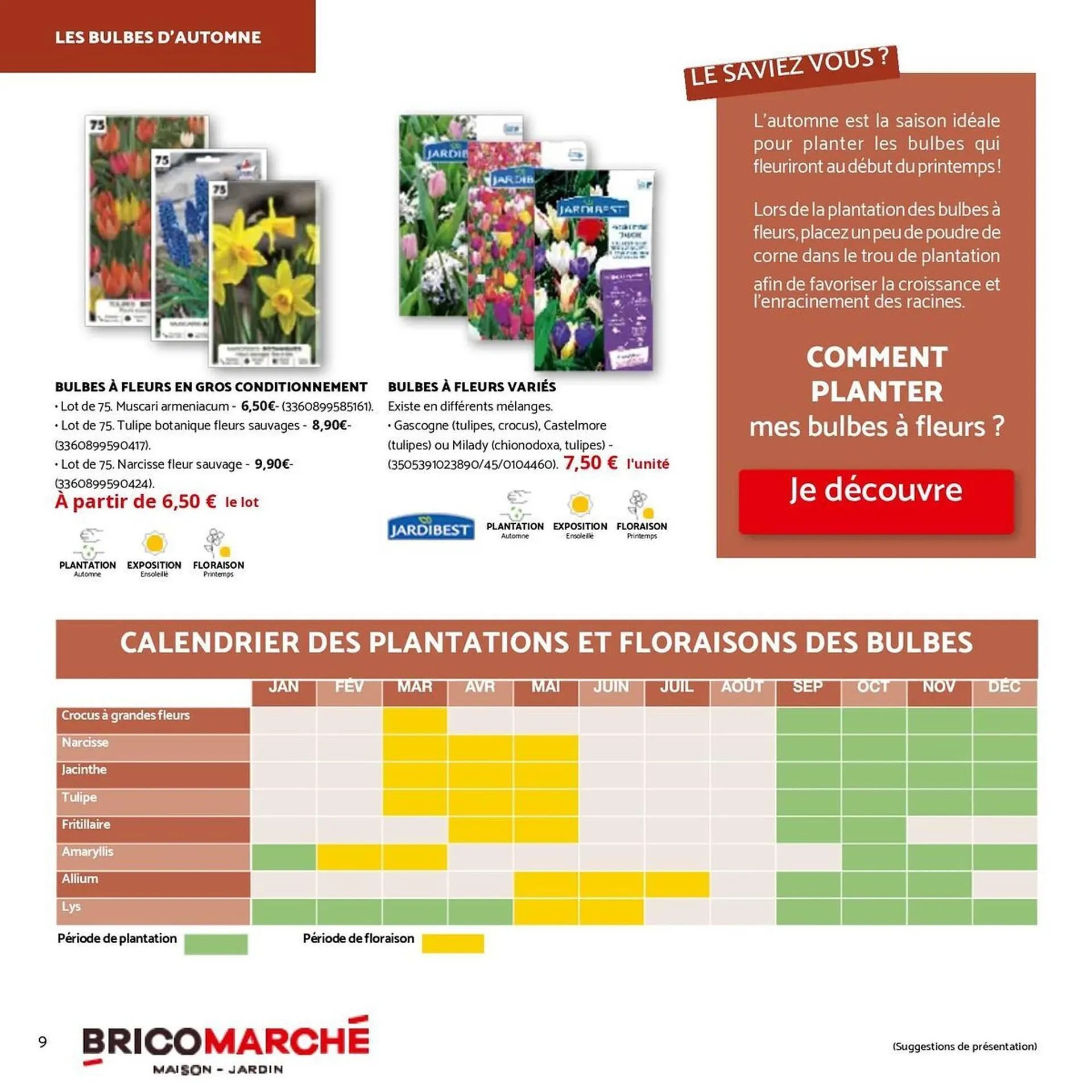 Catalogue Bricomarché du 1 octobre au 29 novembre 2025 - Catalogue page 9