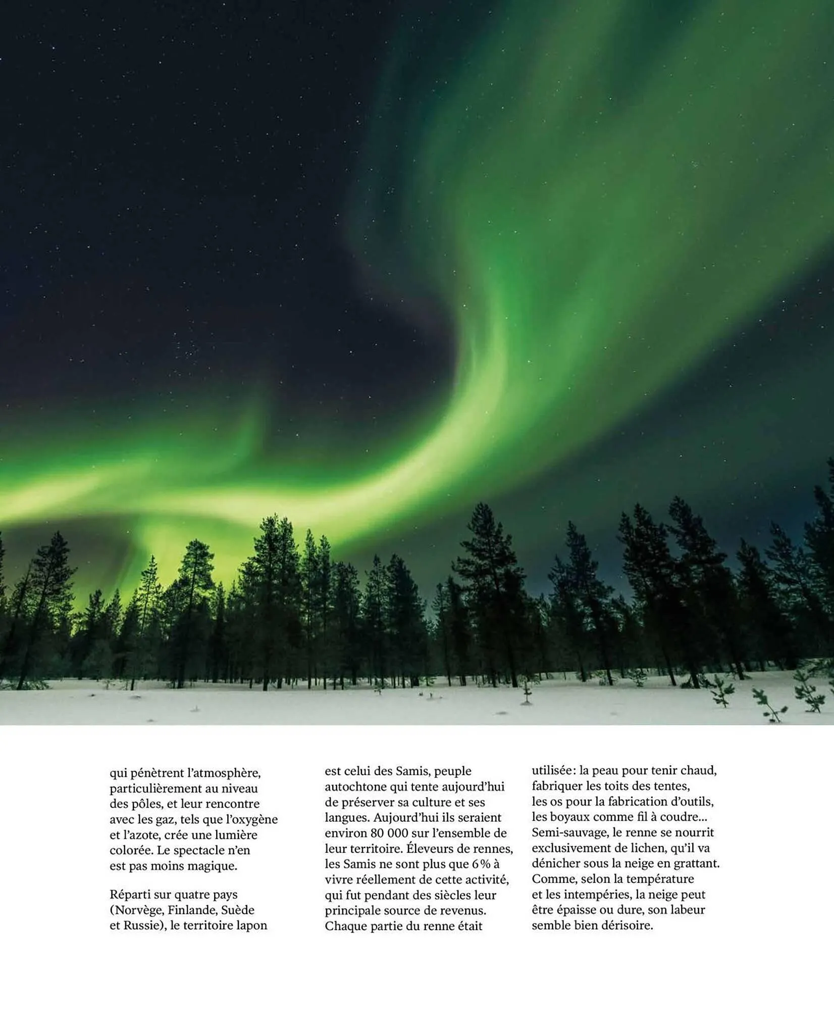 Catalogue Fragonard du 1 octobre au 20 mars 2026 - Catalogue page 31