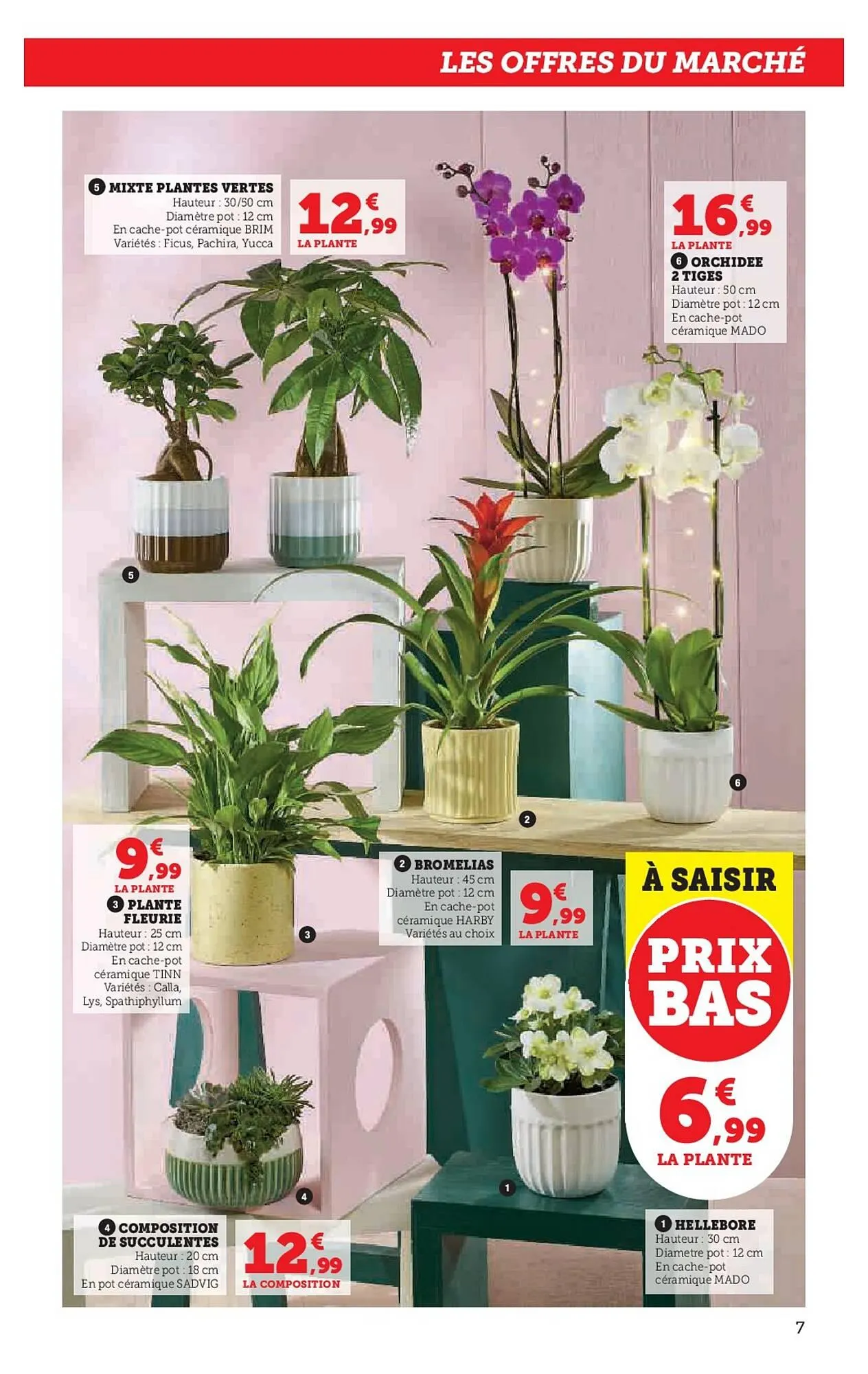 Catalogue Hyper U du 3 février au 15 février 2026 - Catalogue page 7