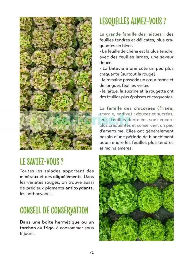 Mars - Avril 2025 du 5 mars au 30 avril 2025 - Catalogue page 12