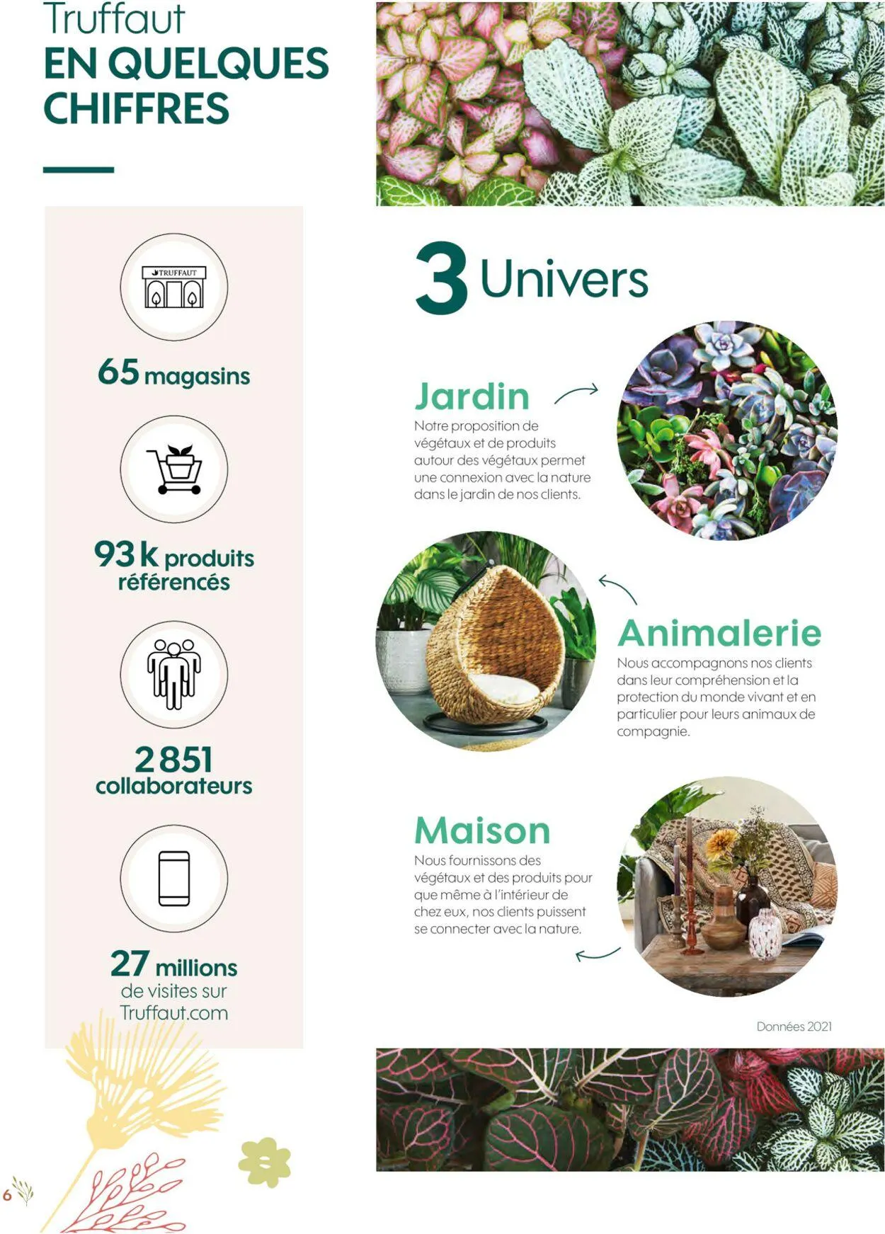 Truffaut du 1 janvier au 31 décembre 2030 - Catalogue page 6