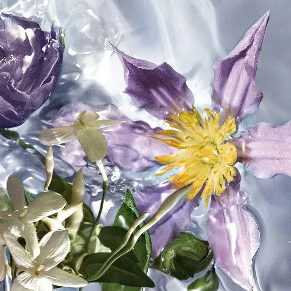 Flora Salvaggia - Eau de Toilette