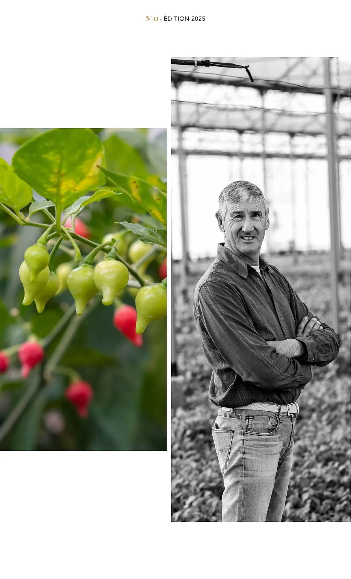 Catalogue METRO du 1 juillet au 31 décembre 2025 - Catalogue page 9