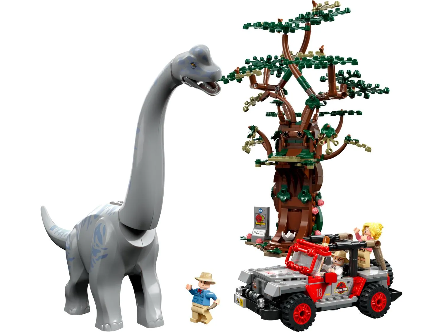La découverte du brachiosaure