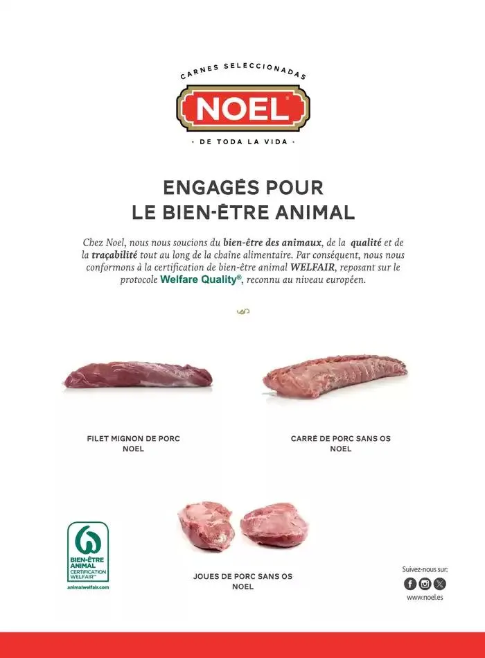 La main Verte du 12 mai au 31 décembre 2025 - Catalogue page 51