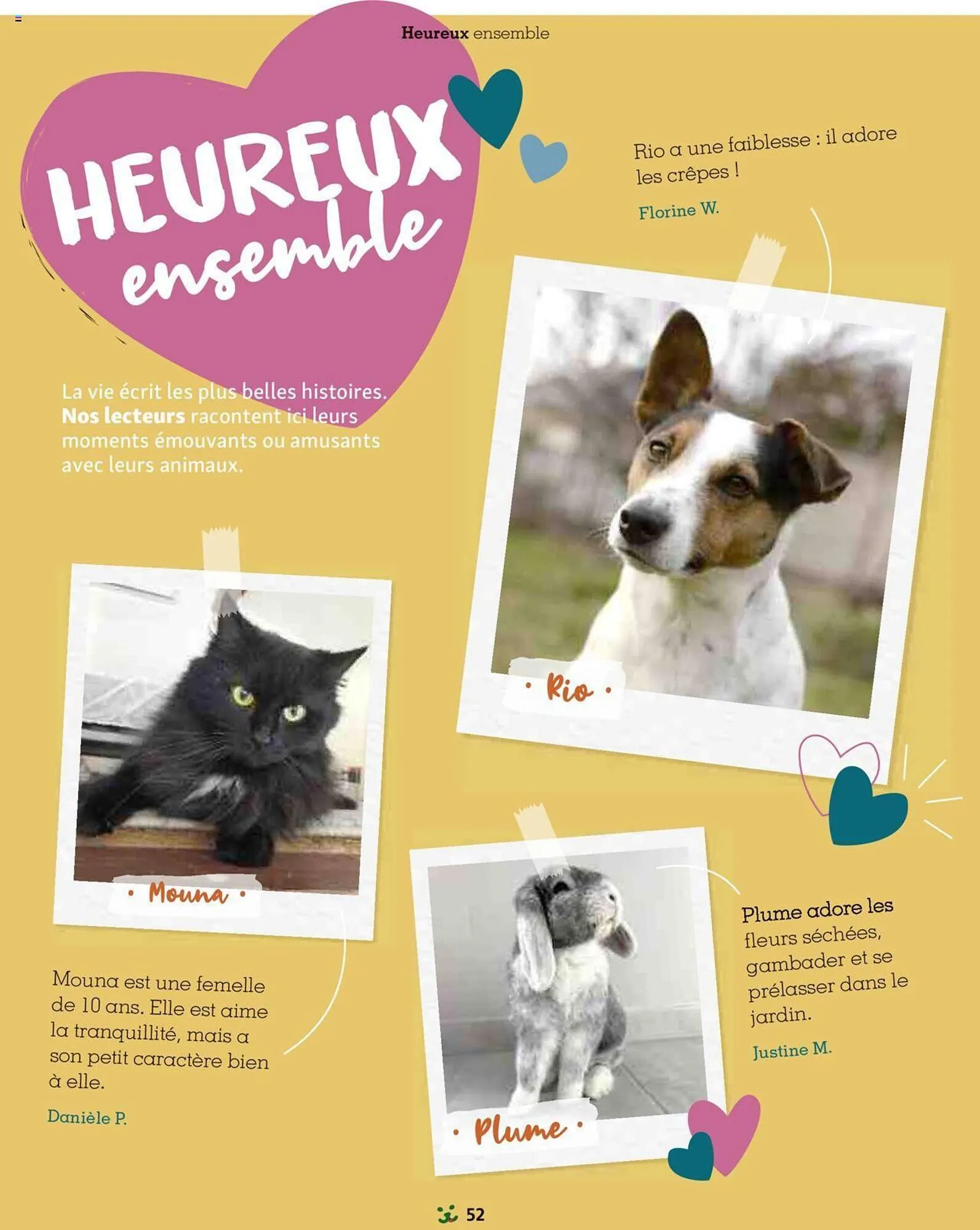 Catalogue Maxi Zoo du 1 septembre au 3 novembre 2024 - Catalogue page 52