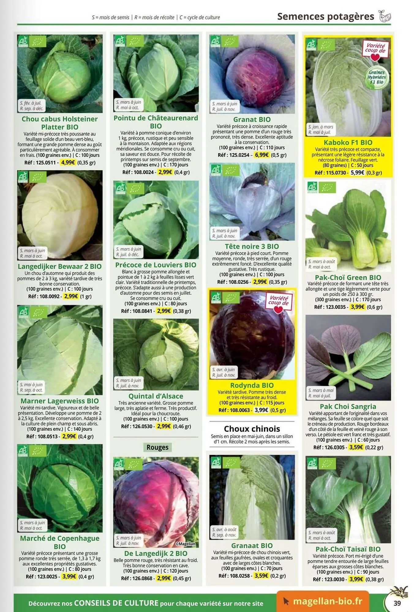 Catalogue Magellan du 1 janvier au 31 décembre 2026 - Catalogue page 39