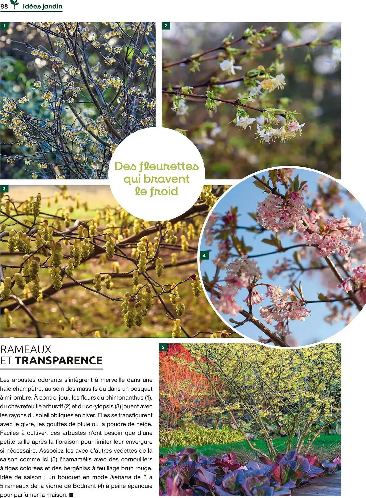 Catalogue Mr Bricolage du 1 décembre au 31 décembre 2025 - Catalogue page 88