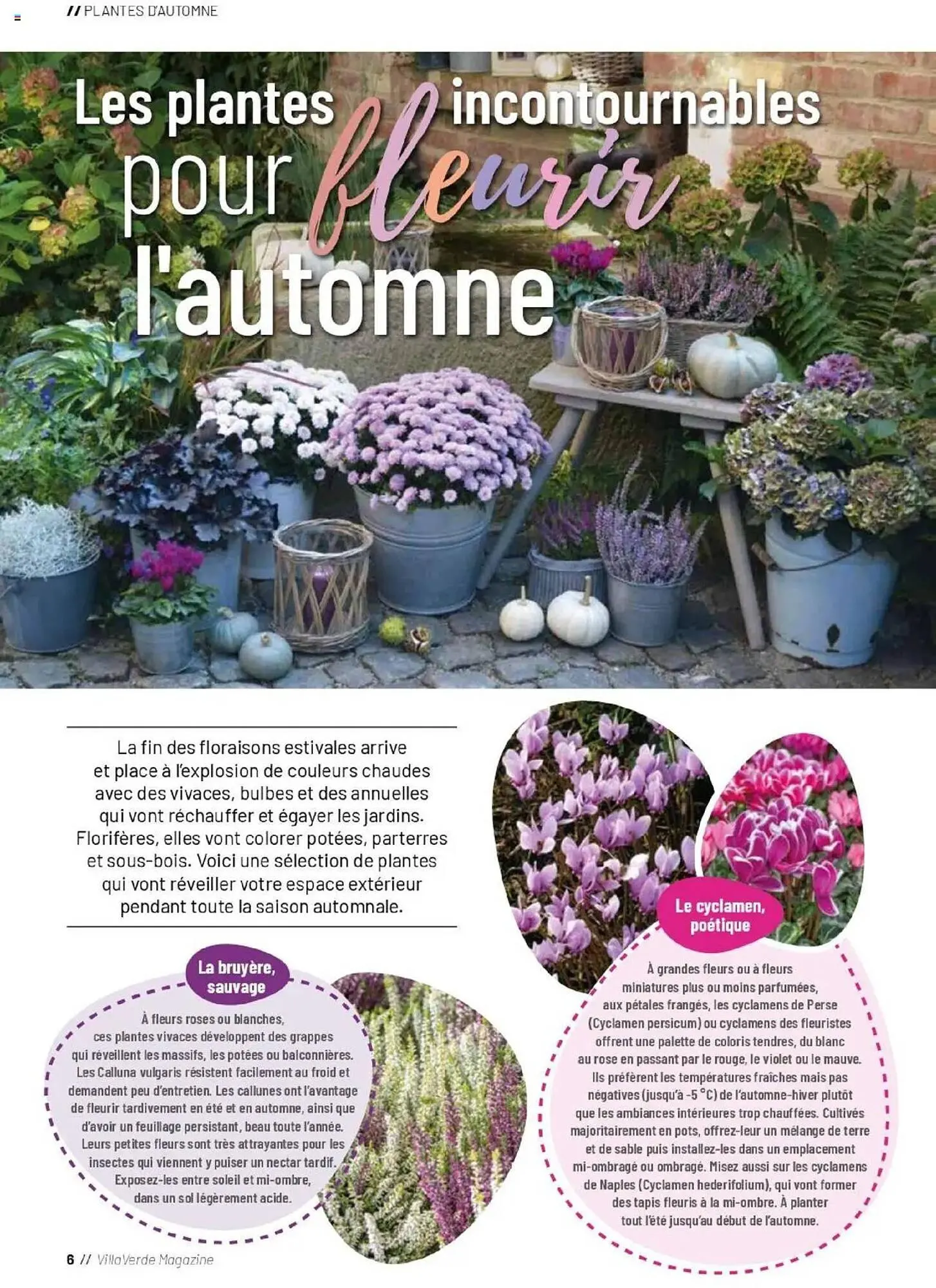 Catalogue VillaVerde du 19 septembre au 28 février 2026 - Catalogue page 6