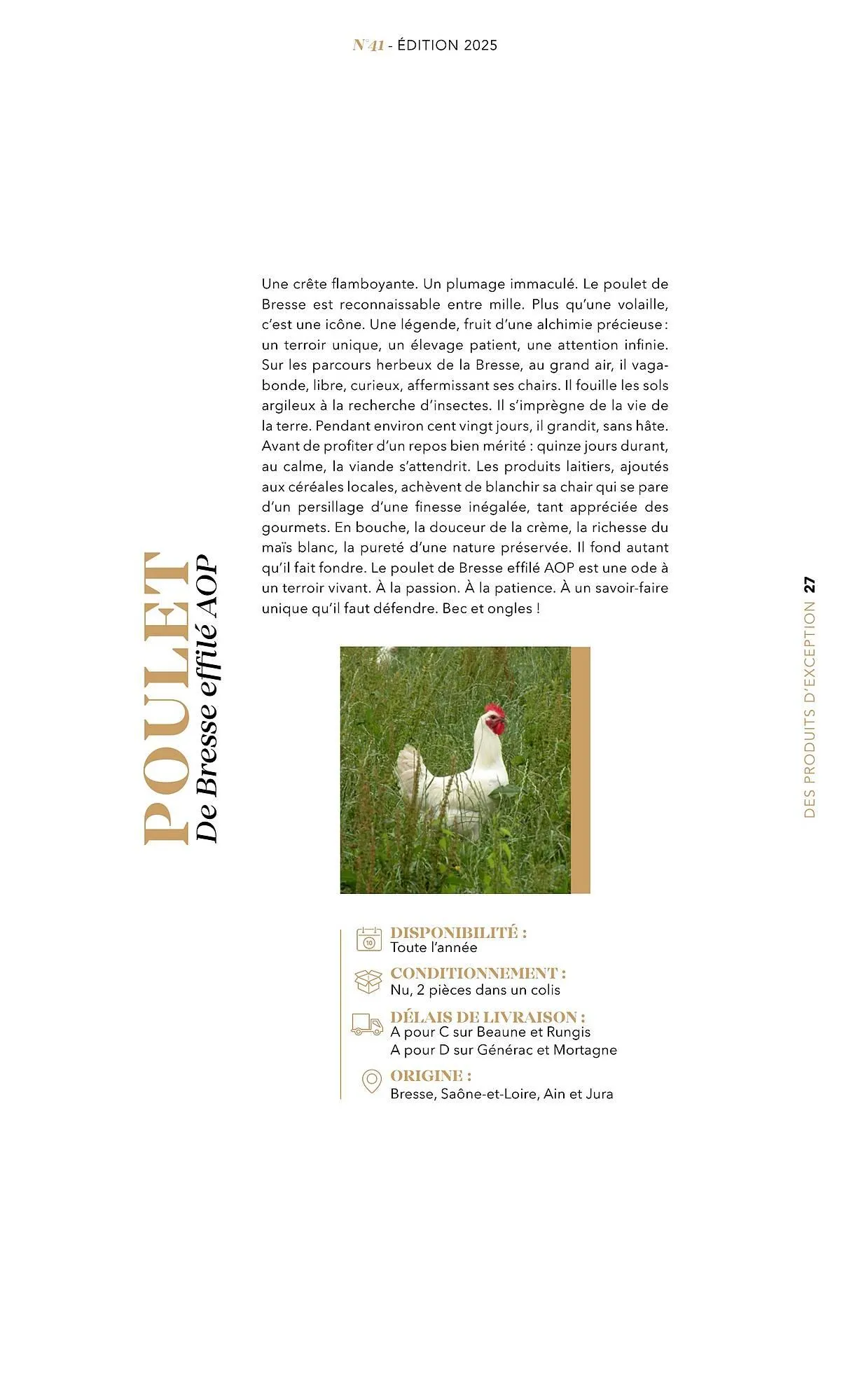 Catalogue METRO du 1 juillet au 31 décembre 2025 - Catalogue page 27