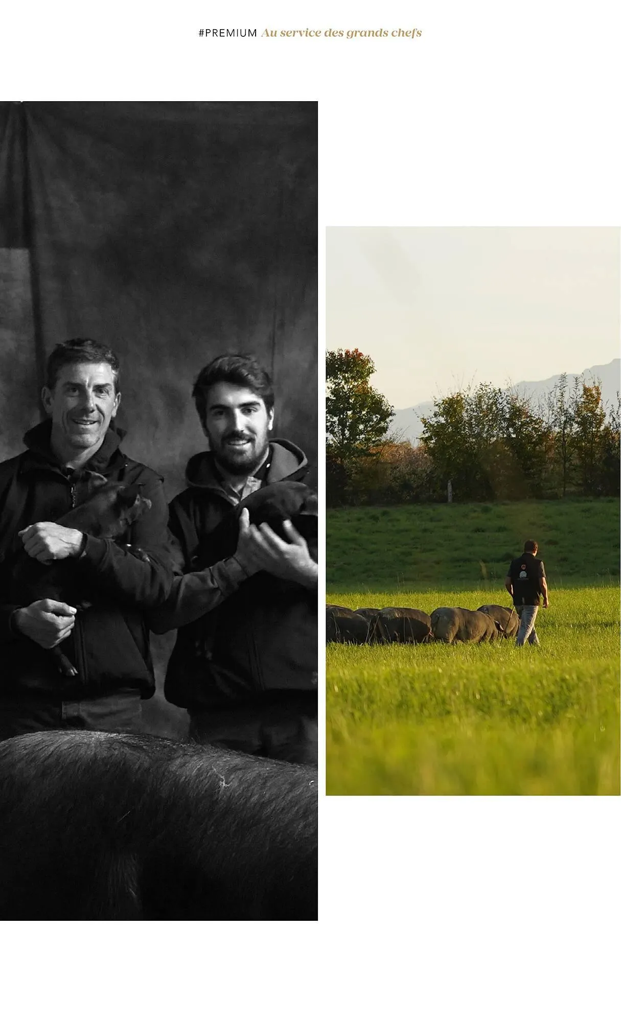 Catalogue METRO du 1 juillet au 31 décembre 2025 - Catalogue page 38