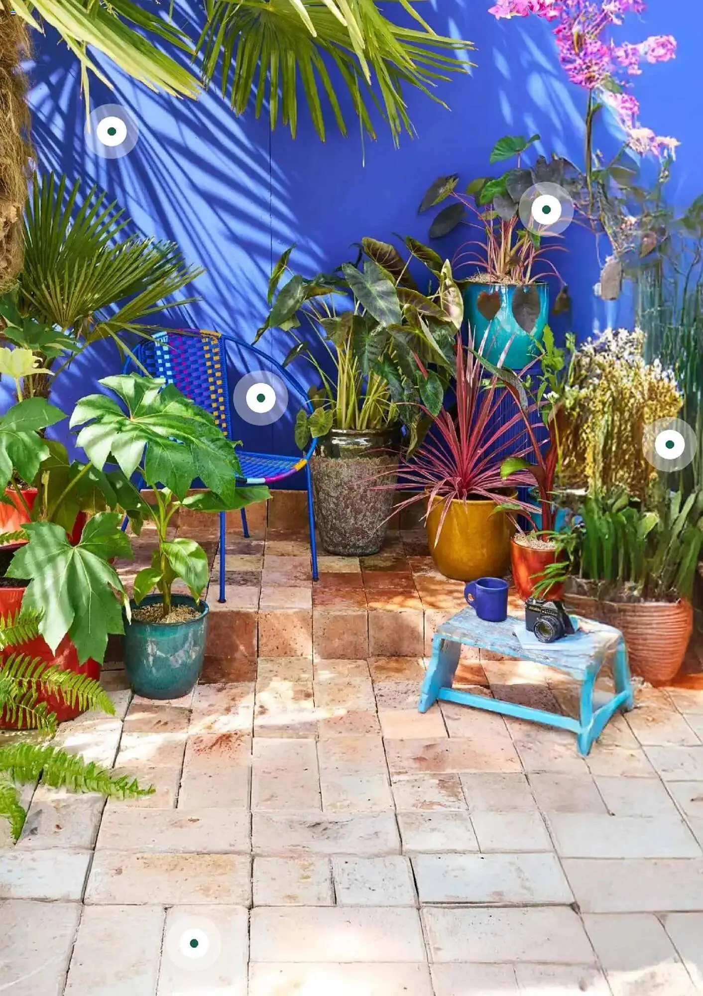 Catalogue Truffaut du 7 mai au 31 juillet 2025 - Catalogue page 9