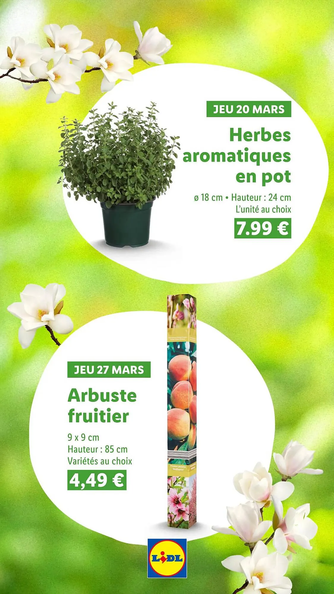 Catalogue Lidl du 13 mars au 27 avril 2025 - Catalogue page 18