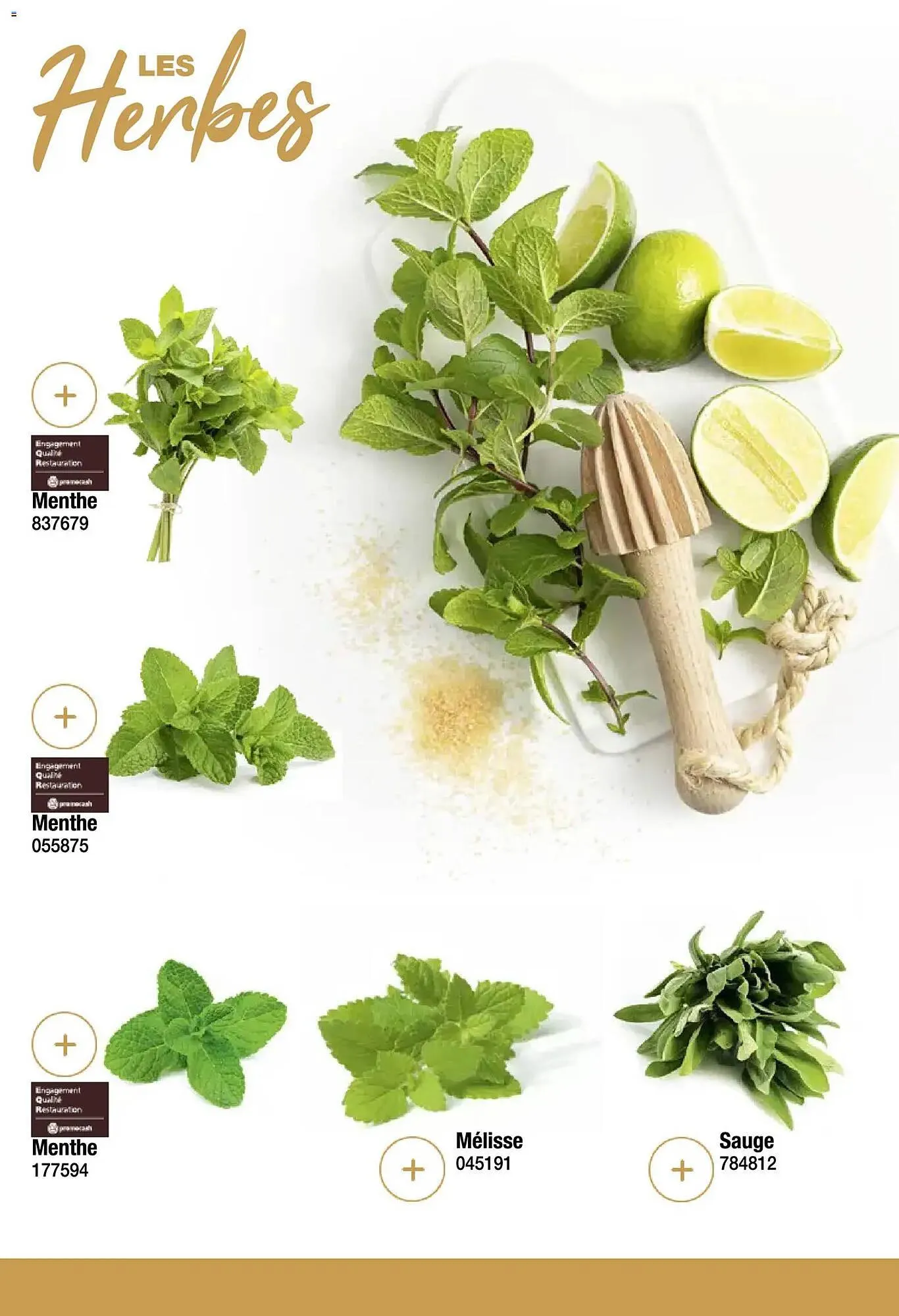 Catalogue Promocash du 19 novembre au 31 décembre 2025 - Catalogue page 47