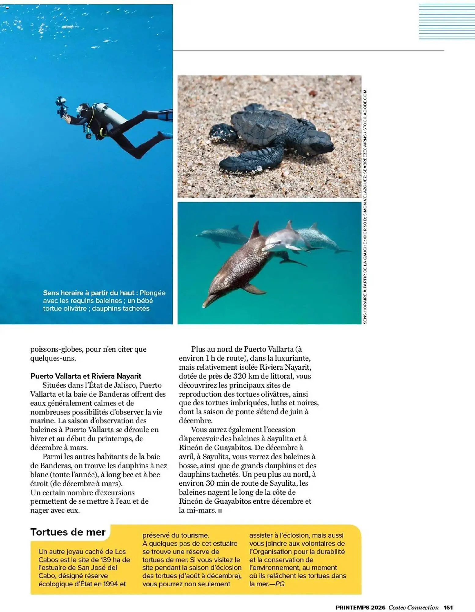 Catalogue Costco du 19 mars au 1 juin 2026 - Catalogue page 161