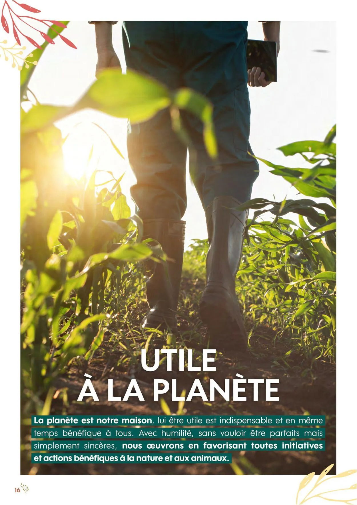 Truffaut du 1 janvier au 31 décembre 2030 - Catalogue page 16