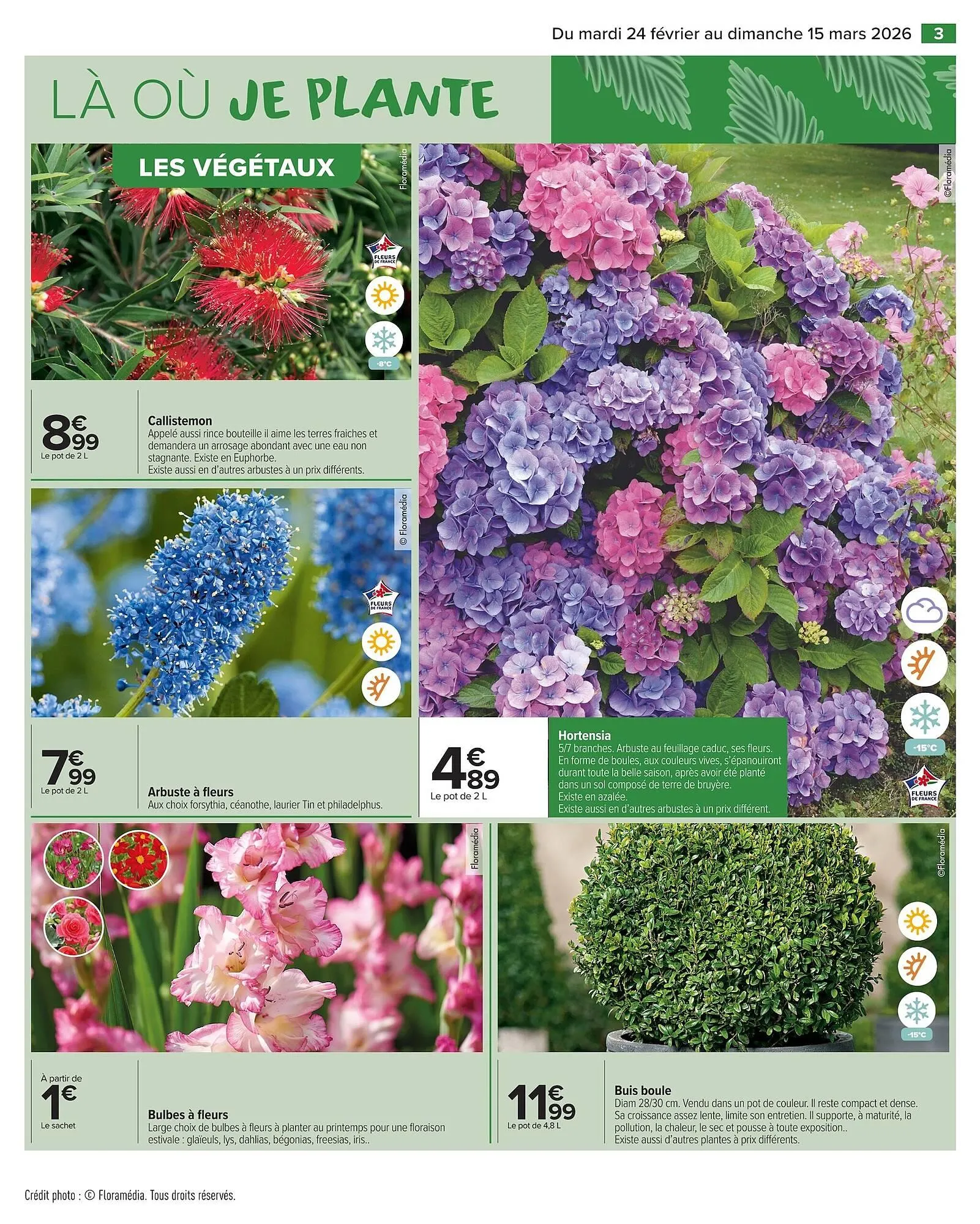 Catalogue Carrefour Market du 24 février au 15 mars 2026 - Catalogue page 5