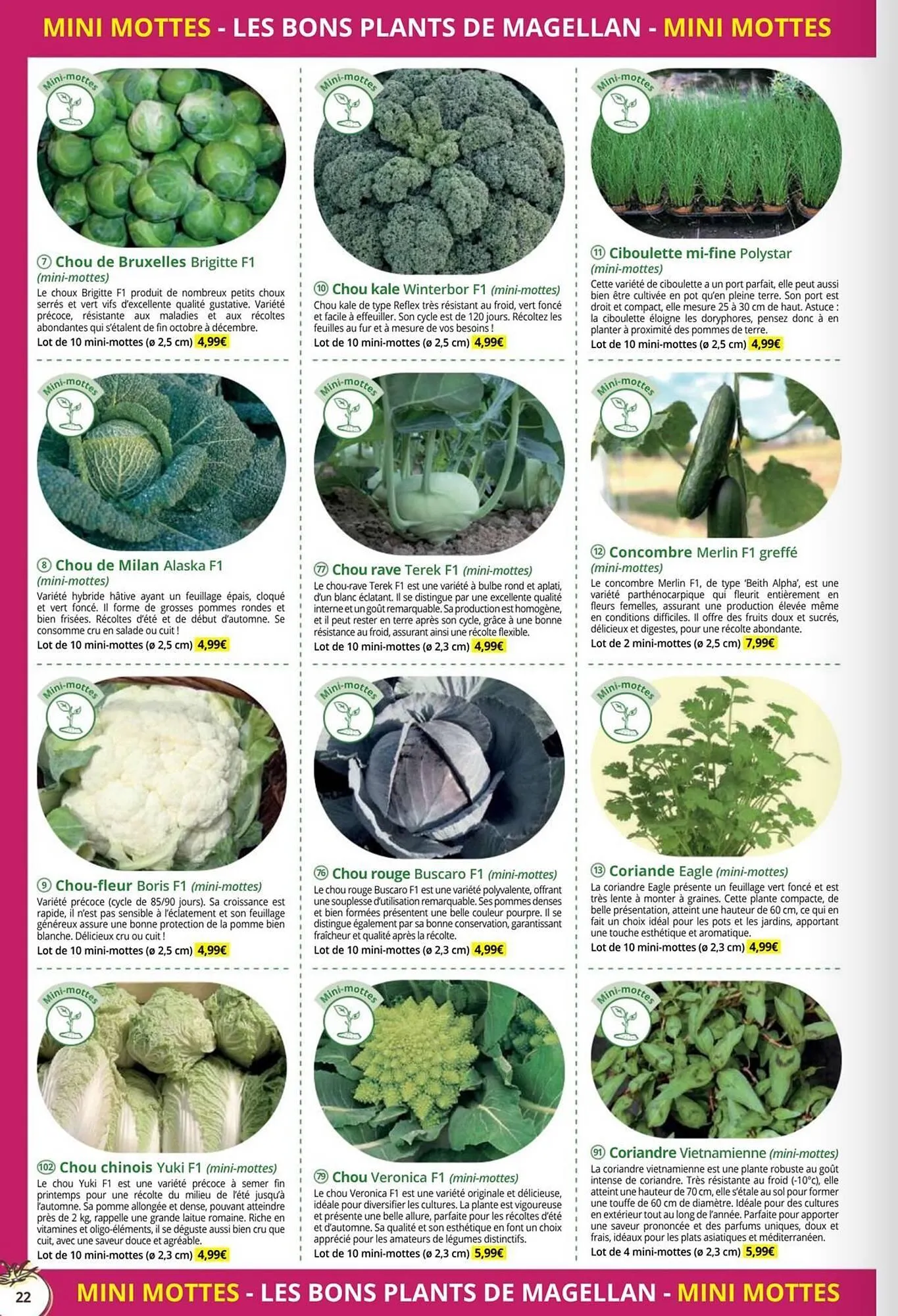 Catalogue Magellan du 1 janvier au 31 décembre 2026 - Catalogue page 22