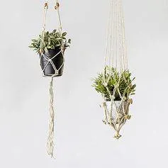 Sticker mural déco suspension plantes 70x20cm