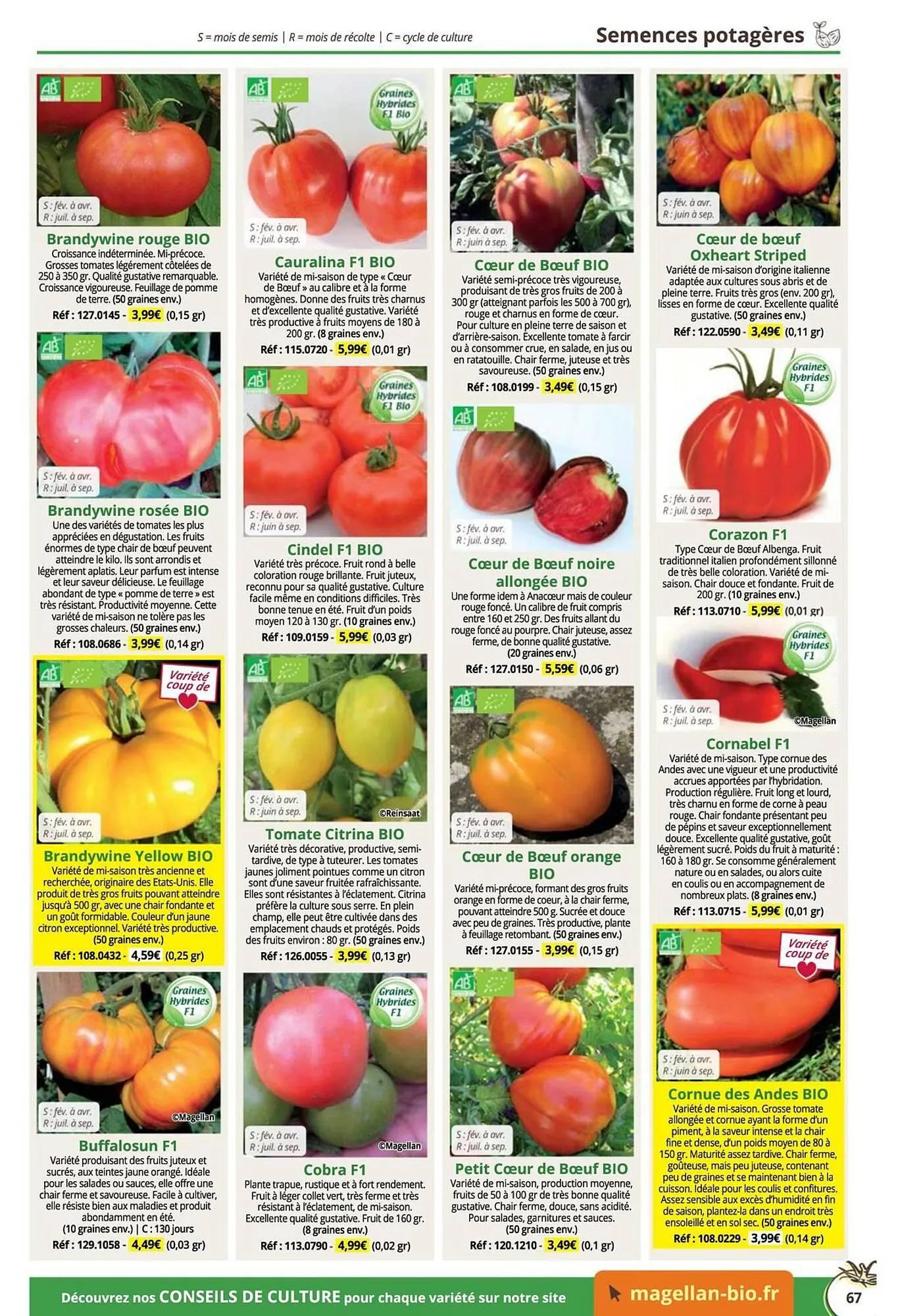 Catalogue Magellan du 16 décembre au 31 décembre 2025 - Catalogue page 67