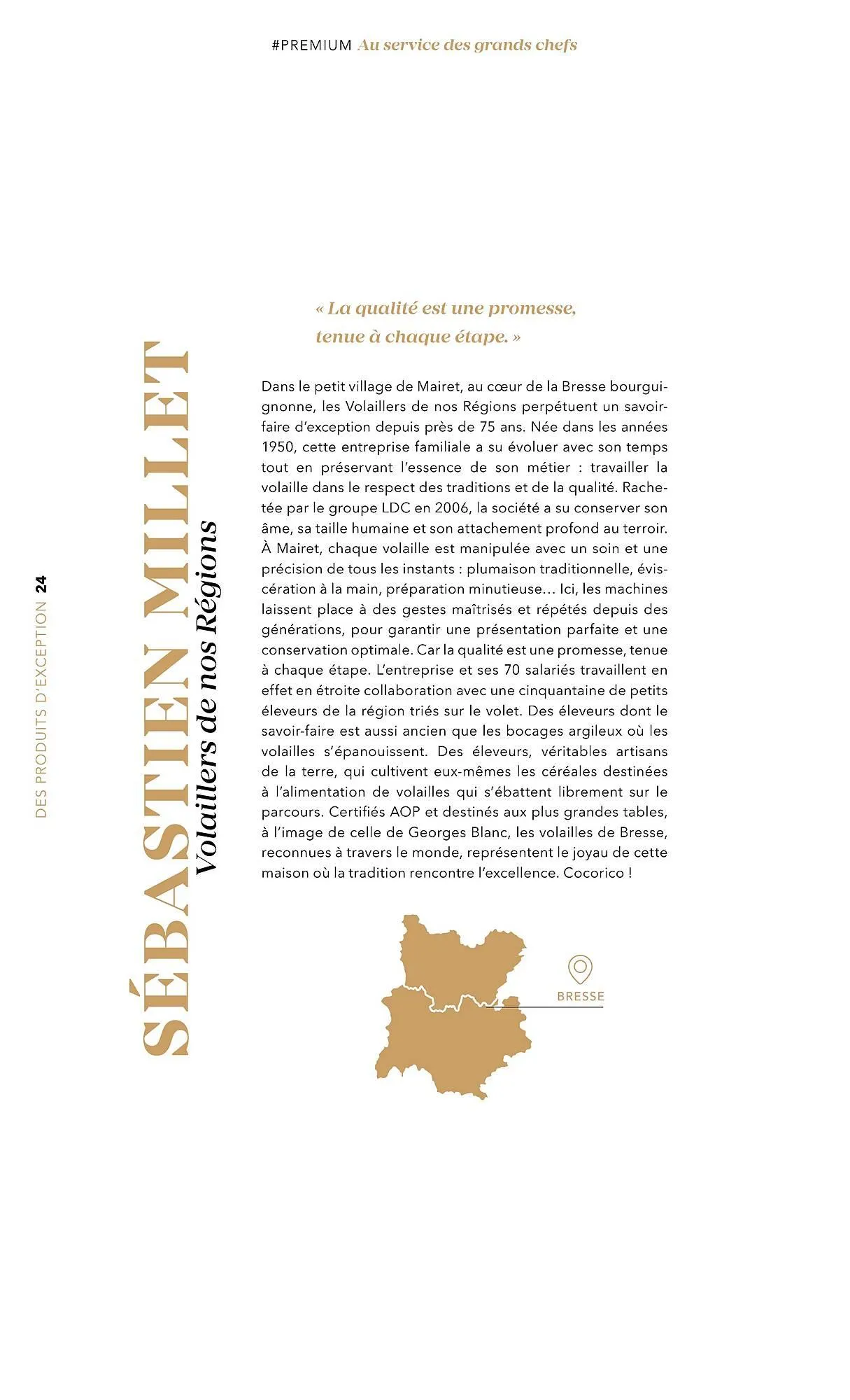 Catalogue METRO du 1 juillet au 31 décembre 2025 - Catalogue page 24