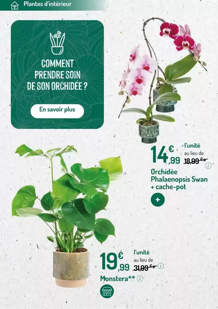Promotions exceptionnelles du 12 mars au 25 mars 2025 - Catalogue page 12