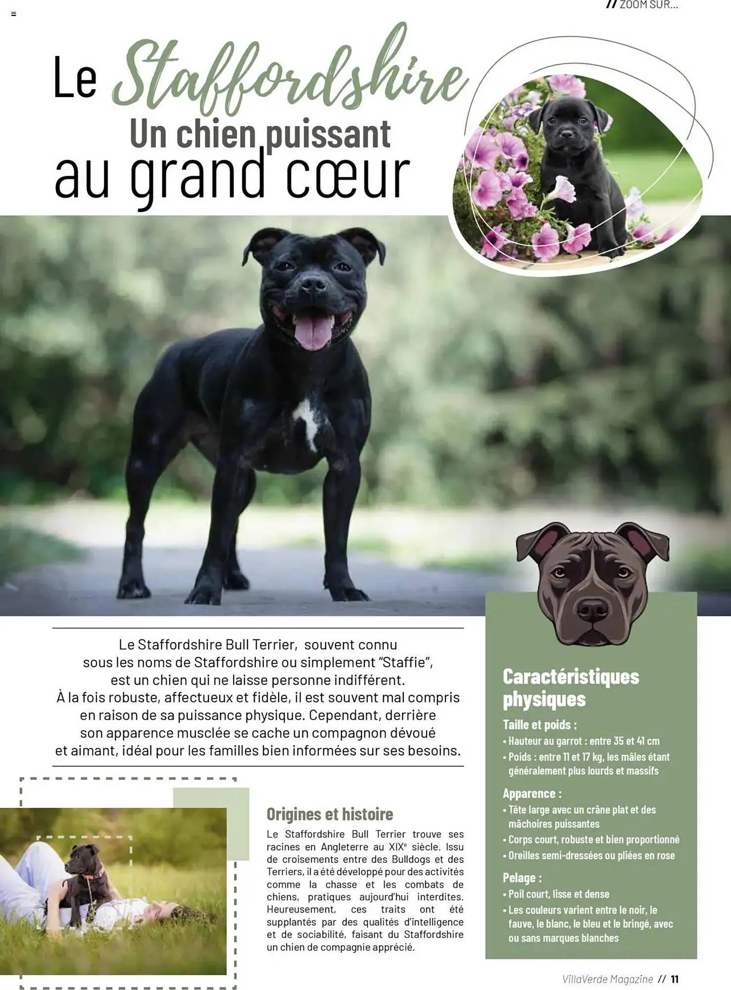 Catalogue VillaVerde du 20 mai au 1 janvier 2026 - Catalogue page 11