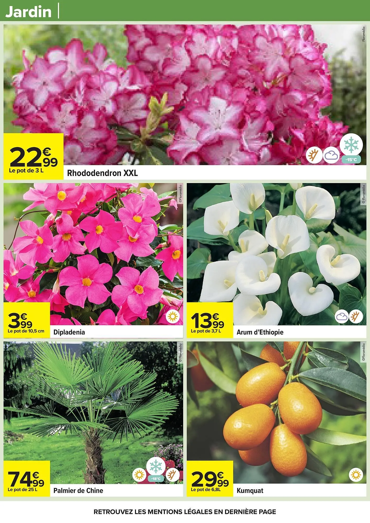 Catalogue Carrefour du 24 mars au 6 avril 2026 - Catalogue page 97