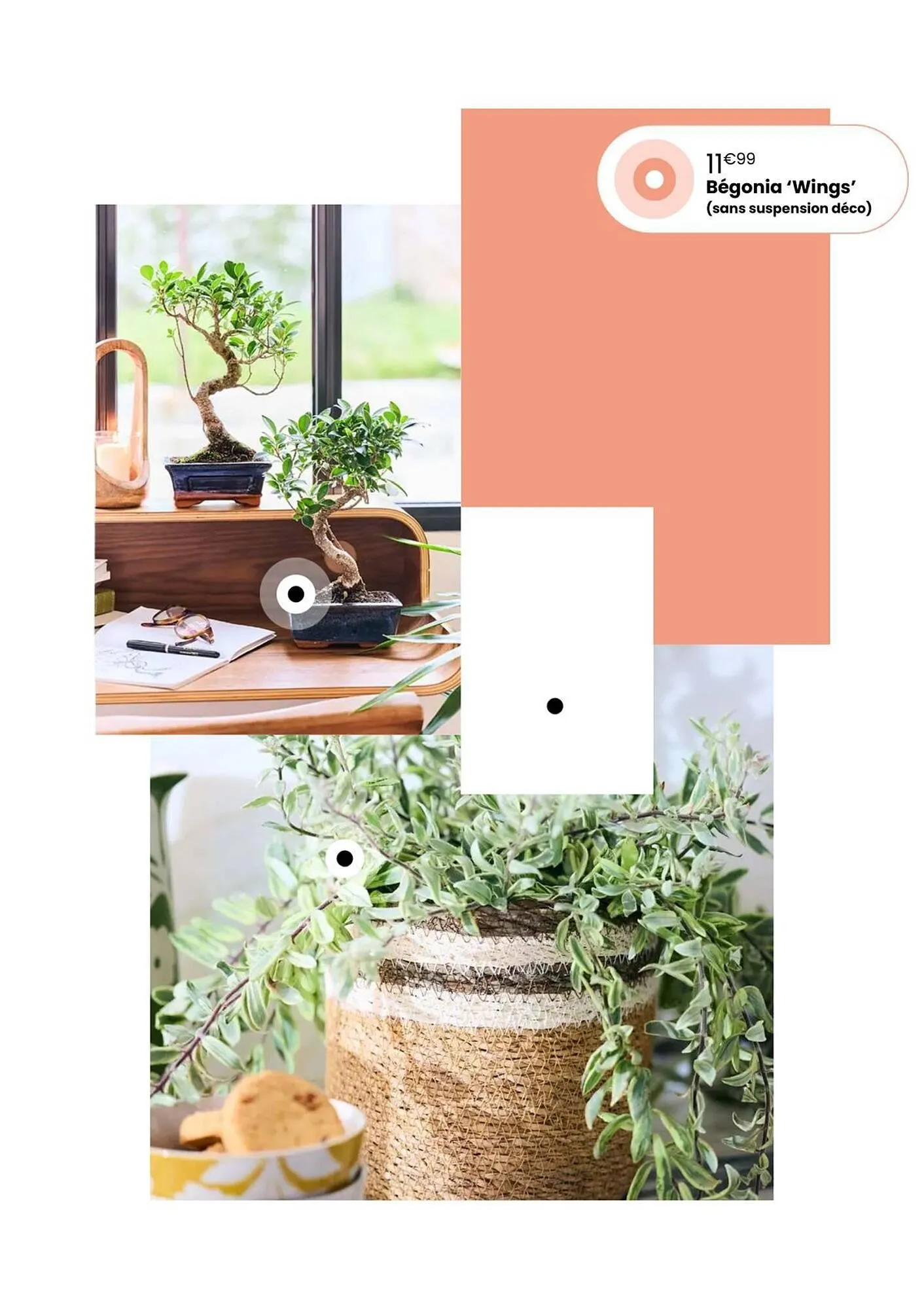 Catalogue Truffaut du 7 avril au 31 mai 2026 - Catalogue page 14