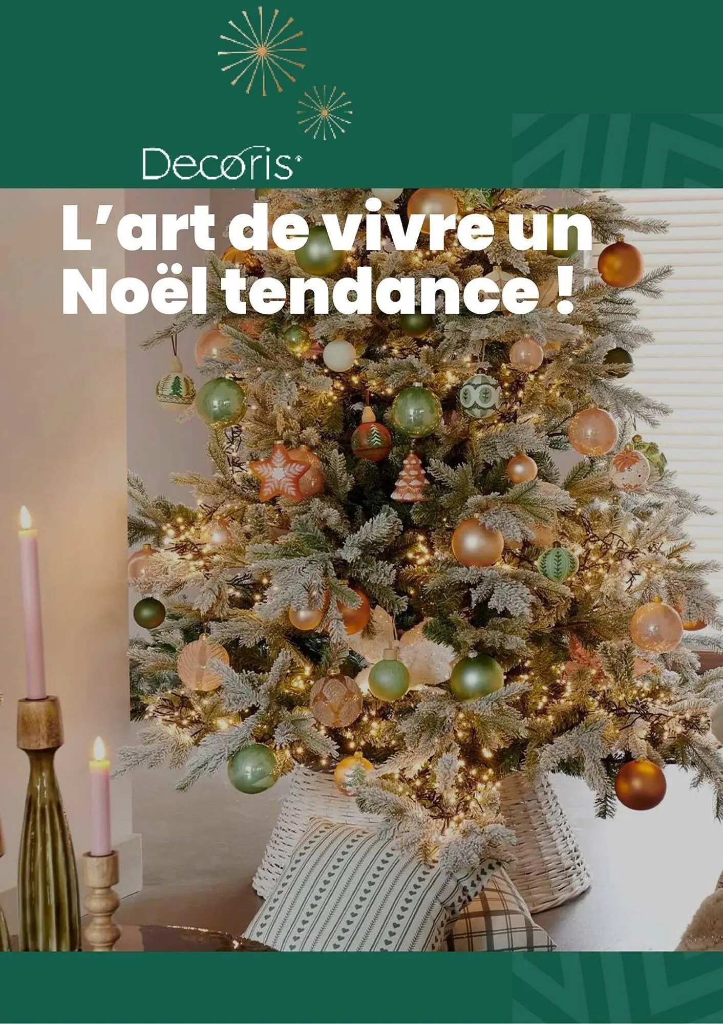 Catalogue Truffaut du 2 décembre au 31 décembre 2025 - Catalogue page 11