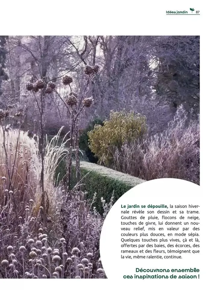 Hiver 2024 du 4 décembre au 20 mars 2025 - Catalogue page 87