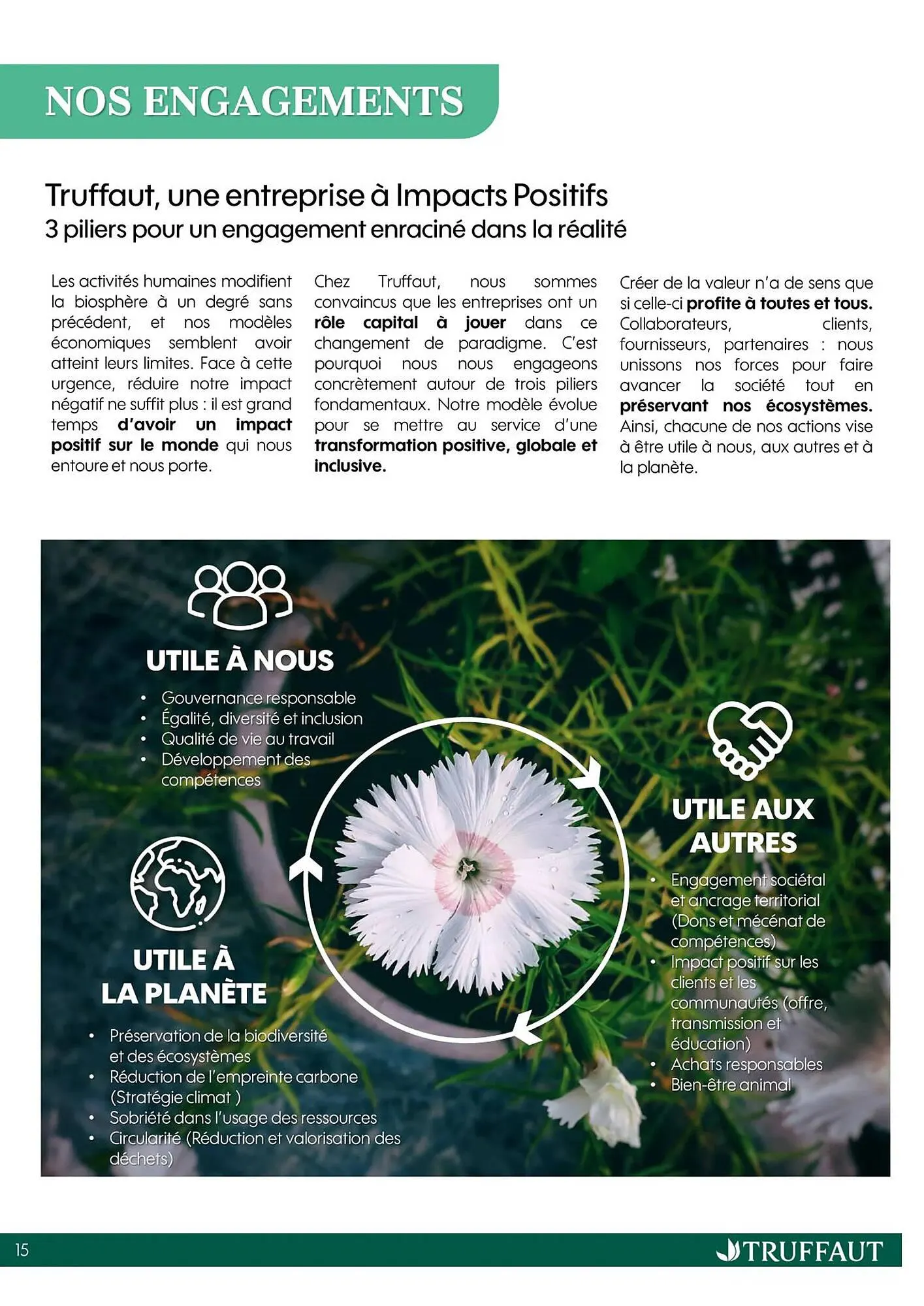 Catalogue Truffaut du 20 octobre au 31 décembre 2025 - Catalogue page 15