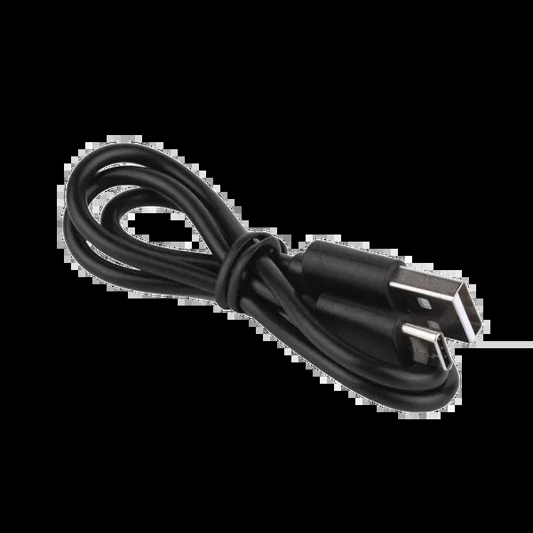 Câble de charge USB A vers Type-C 20cm pour RN 120C SEEMEE 30C BS 100 Wyvern