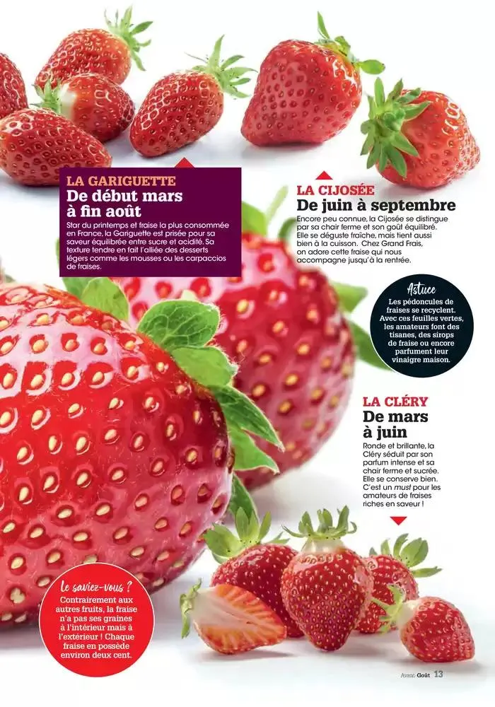 Printemps 2025 du 23 avril au 31 mai 2025 - Catalogue page 13