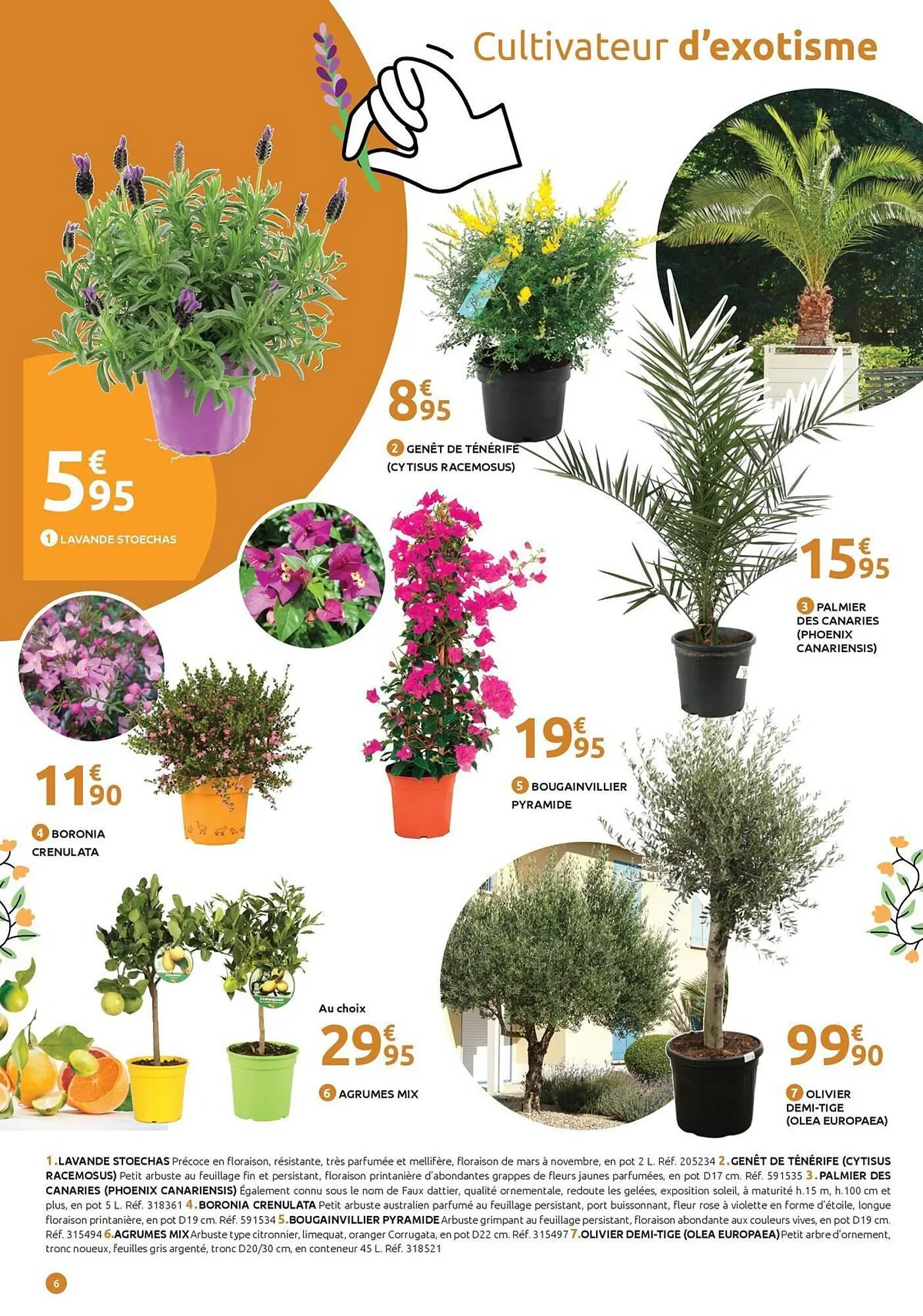 Catalogue Mr Bricolage du 19 mars au 5 avril 2026 - Catalogue page 6