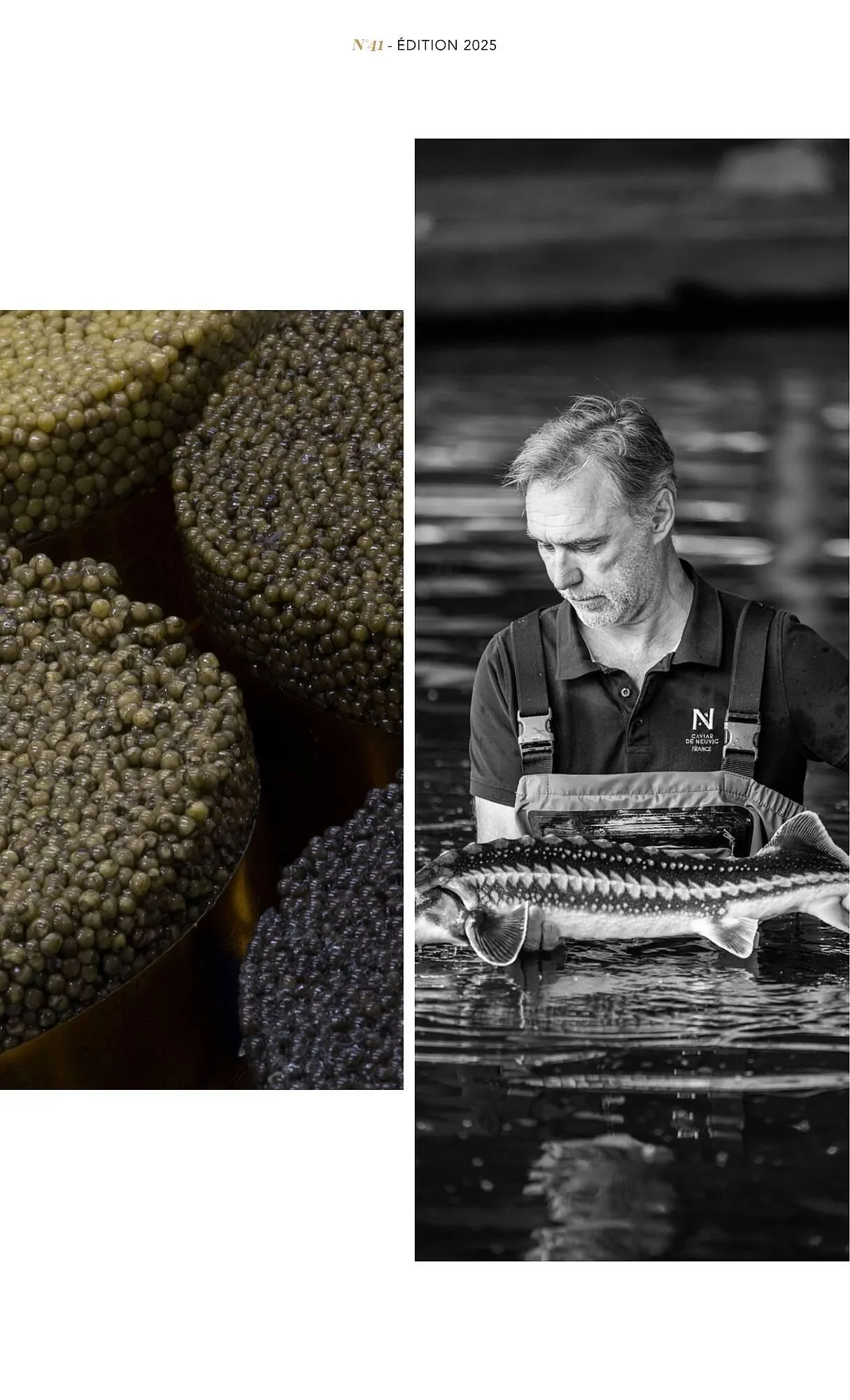 Catalogue METRO du 1 juillet au 31 décembre 2025 - Catalogue page 33