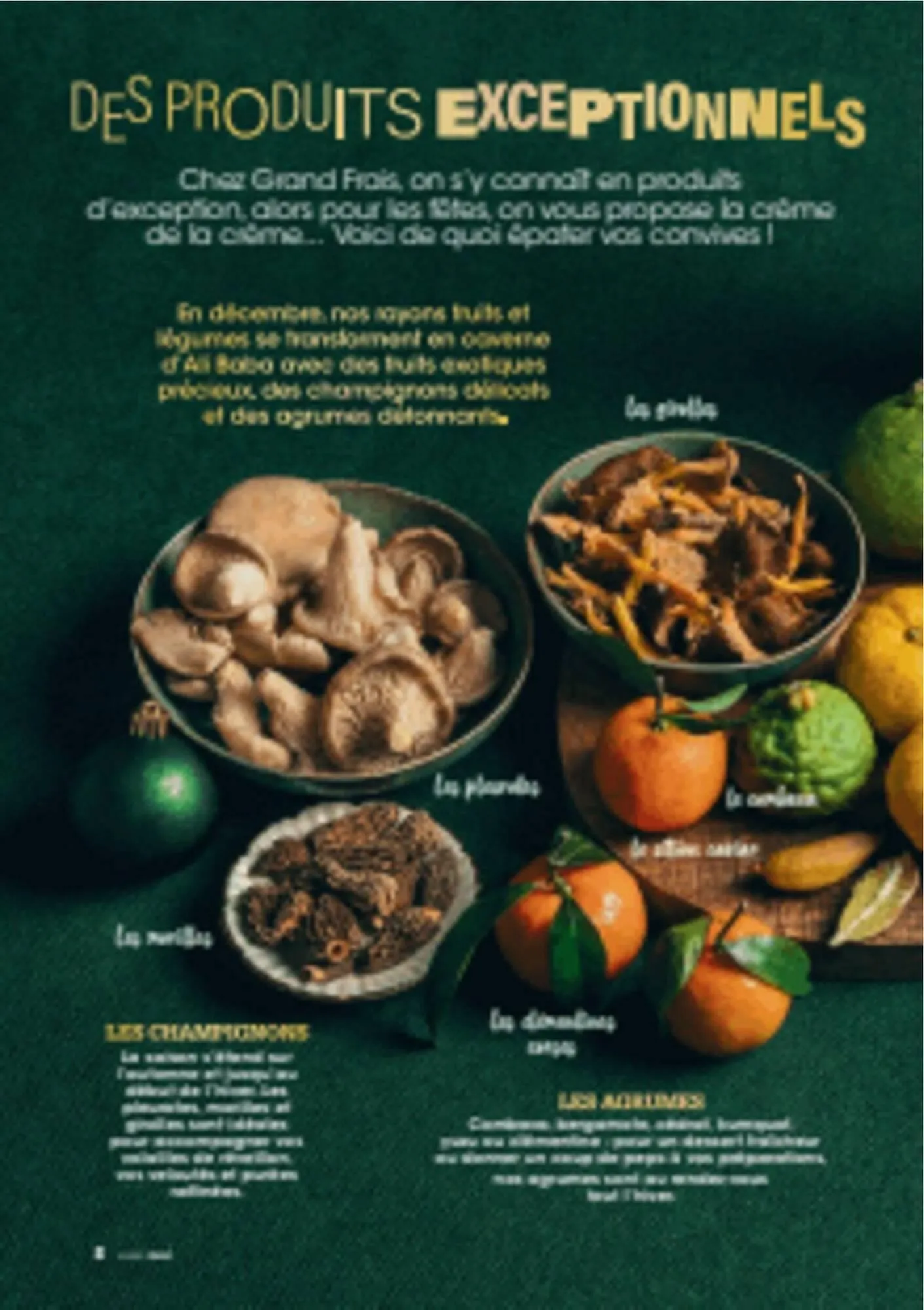 Catalogue Grand Frais du 12 décembre au 20 mars 2026 - Catalogue page 8