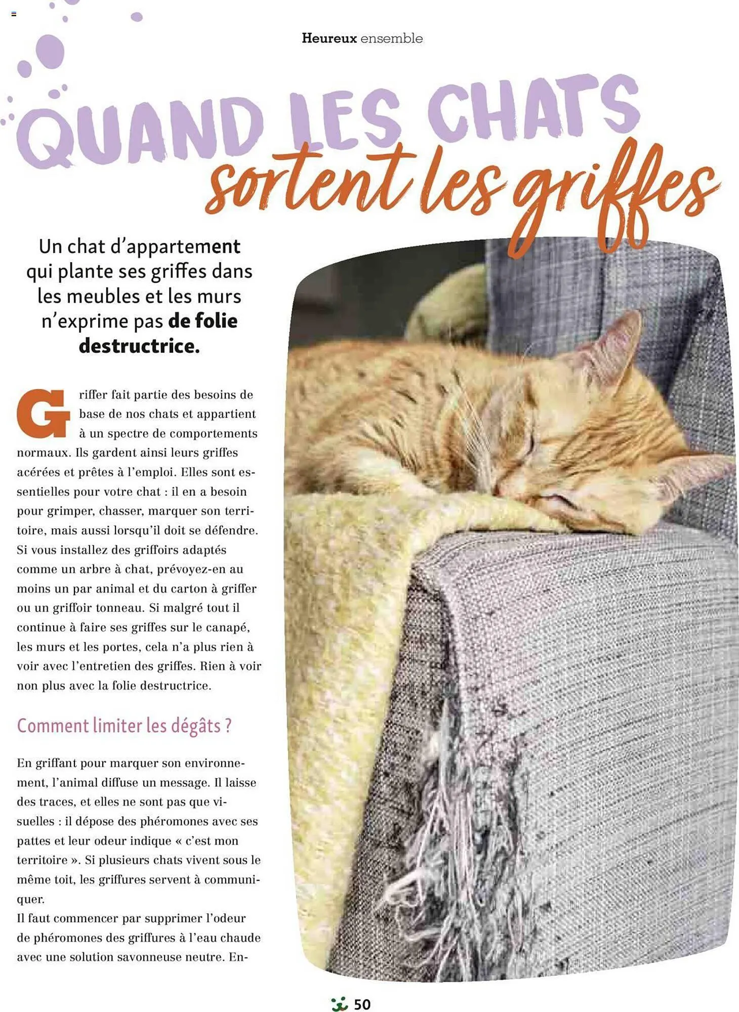 Catalogue Maxi Zoo du 1 septembre au 3 novembre 2024 - Catalogue page 50