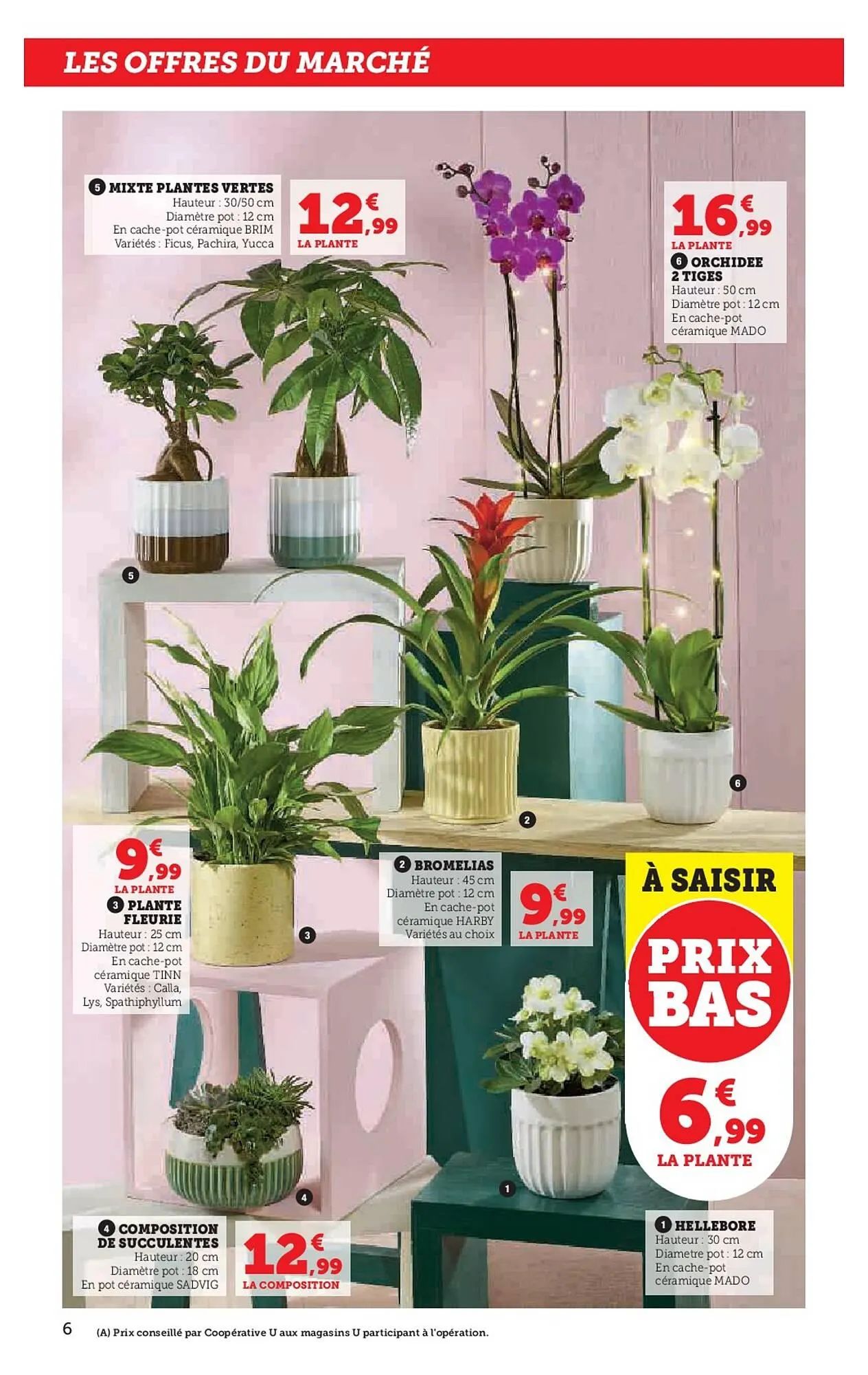 Catalogue Super U du 3 février au 15 février 2026 - Catalogue page 6