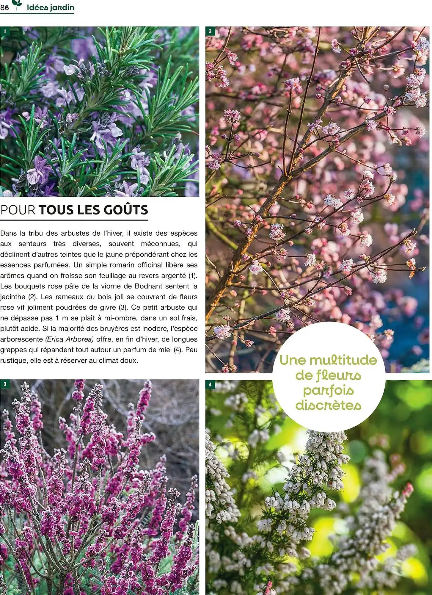 Catalogue Mr Bricolage du 1 décembre au 31 décembre 2025 - Catalogue page 86