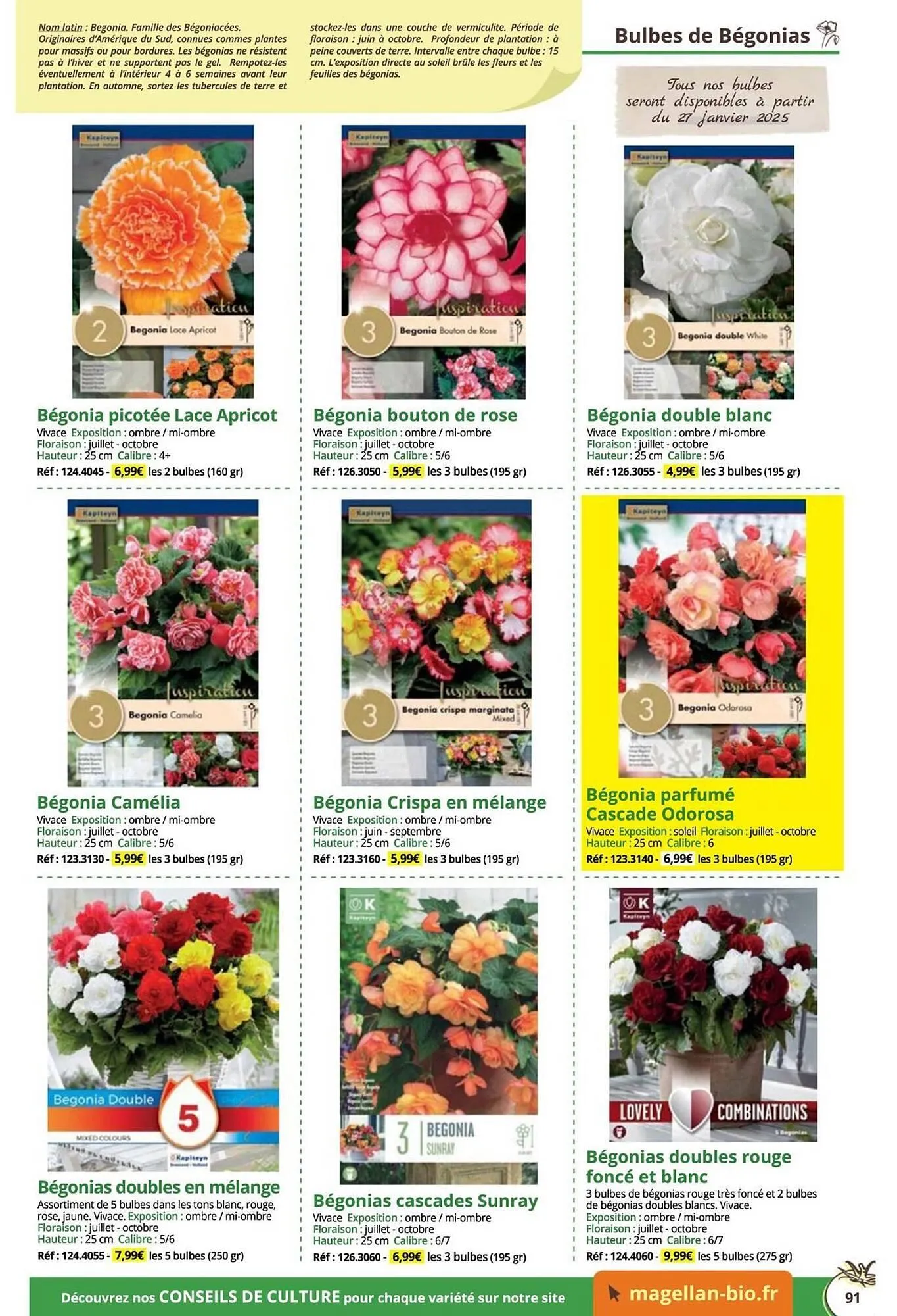 Catalogue Magellan du 16 décembre au 31 décembre 2025 - Catalogue page 91