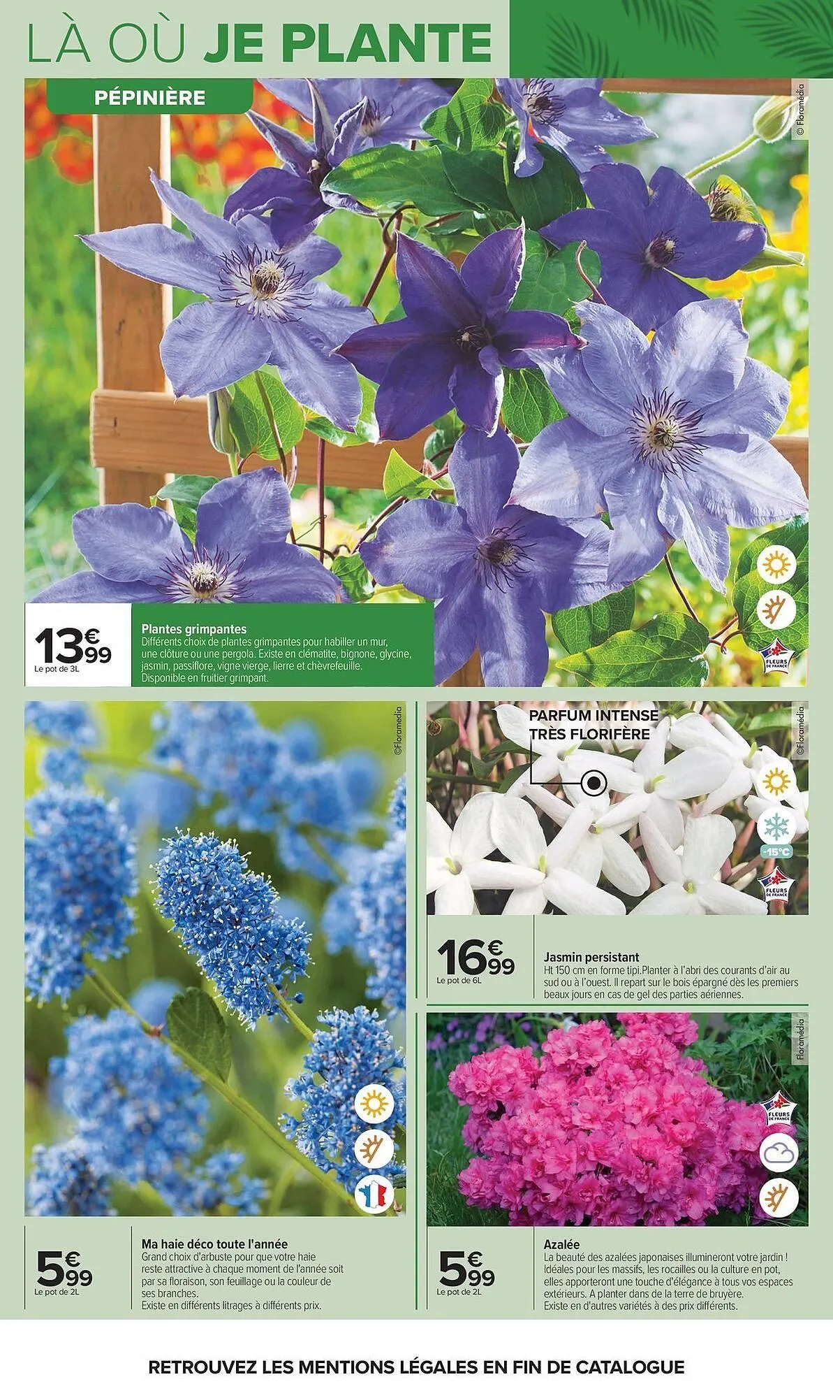 Catalogue Carrefour du 14 avril au 27 avril 2026 - Catalogue page 6
