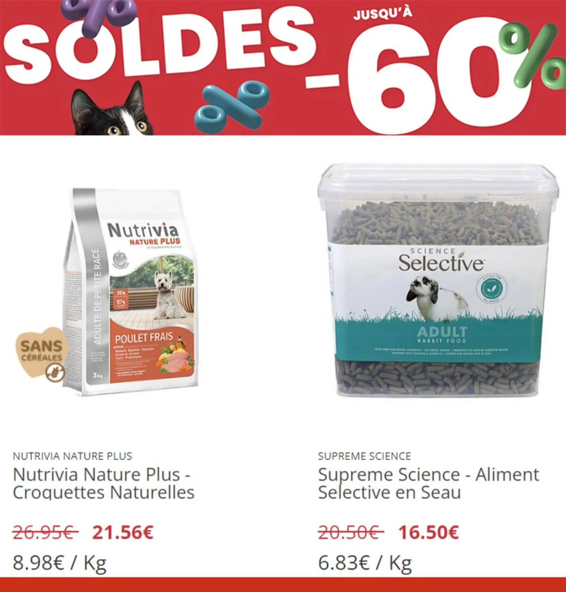 Catalogue Animalis du 29 juin au 10 juillet 2023 - Catalogue page 2